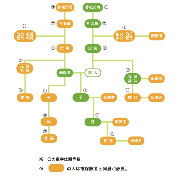 家系図